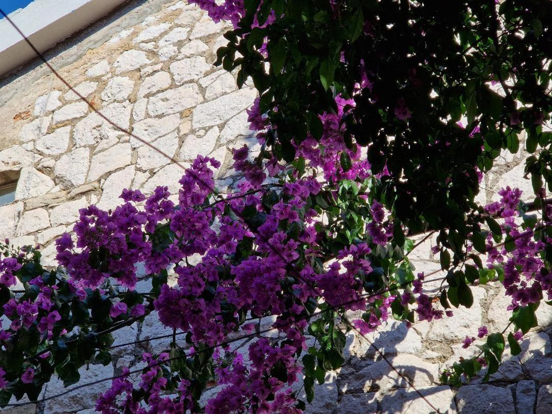 Old Town & Ela Place Split Exterior foto